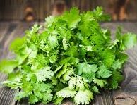 Coriander Leaves Benefits: Uses and Health Benefits in Daily Life