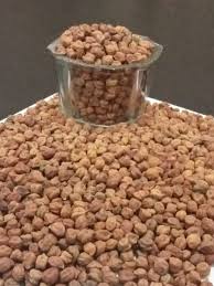 The Saga of the Chana: Why Chickpeas Are the Seed of Silent Strength- Introductory Post 1