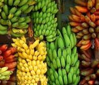 What Banana Teaches About The Humble Power of Showing Up