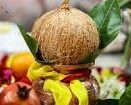 Why The Coconut Is Hard Outside But Sacred On The Inside